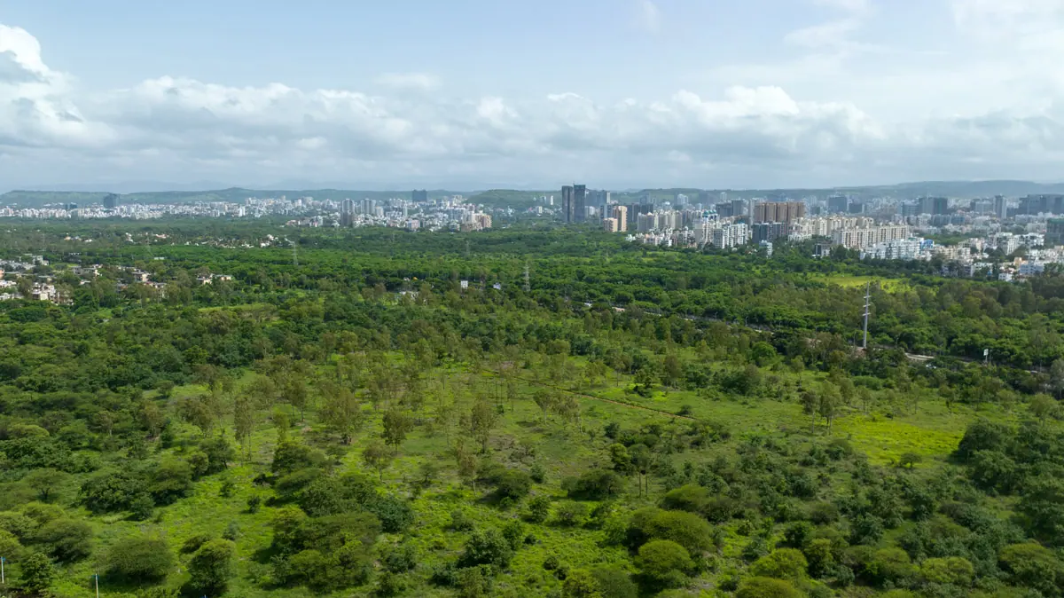 Presidential Tower: green view from above, image 6 of 6 from the developer